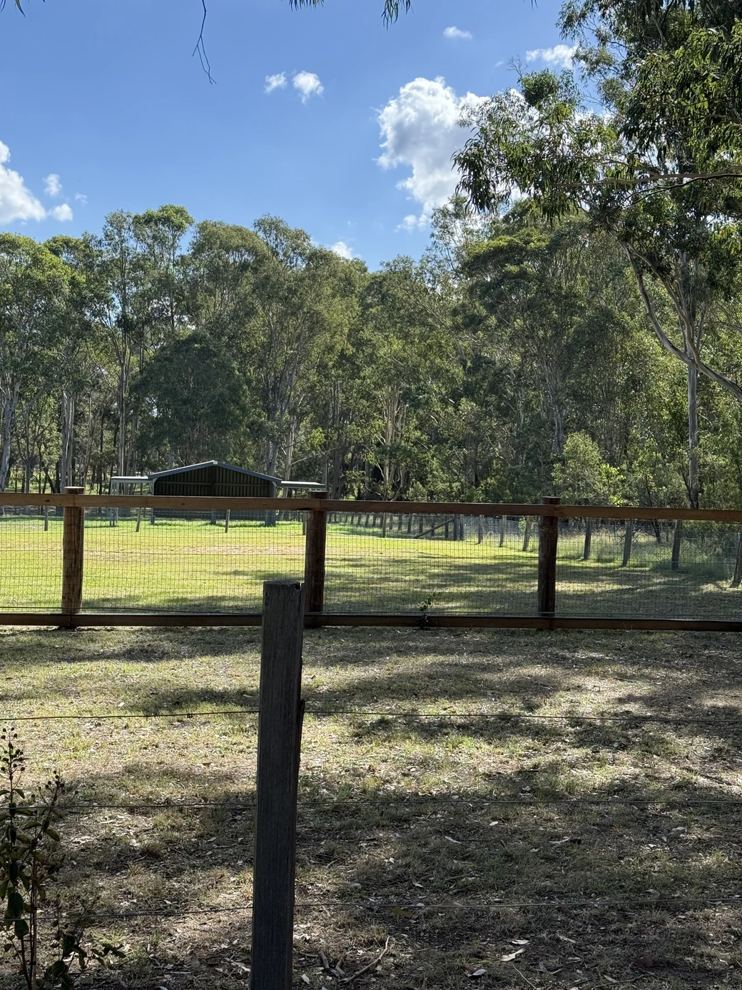 Country life on the Quorrobolong property
