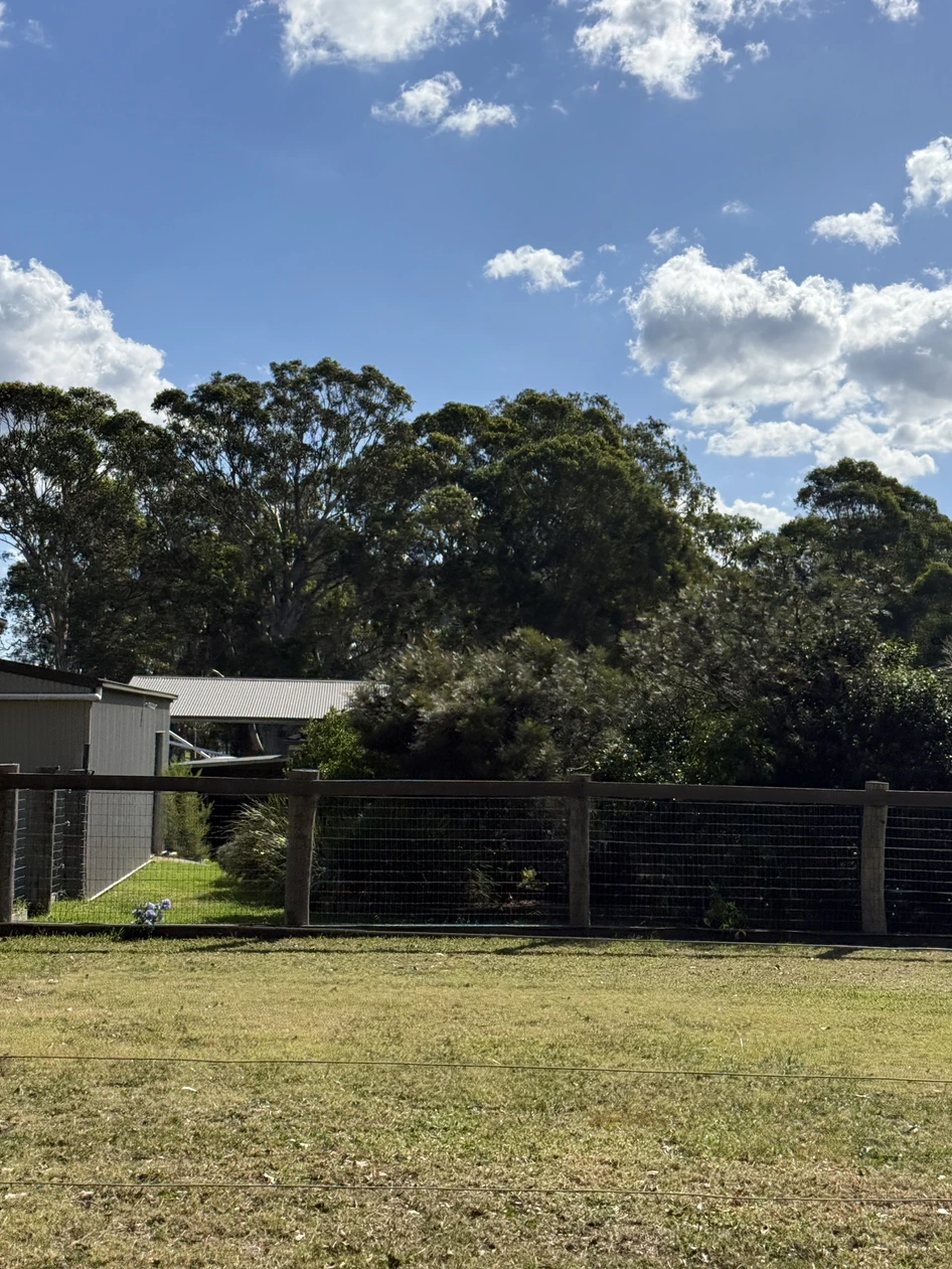 Open paddocks on the Urban Tail Sitters farm