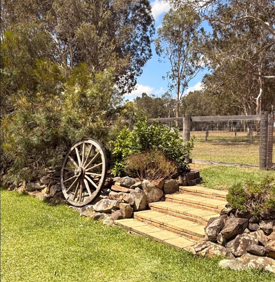 Open sky and paddocks at the farm